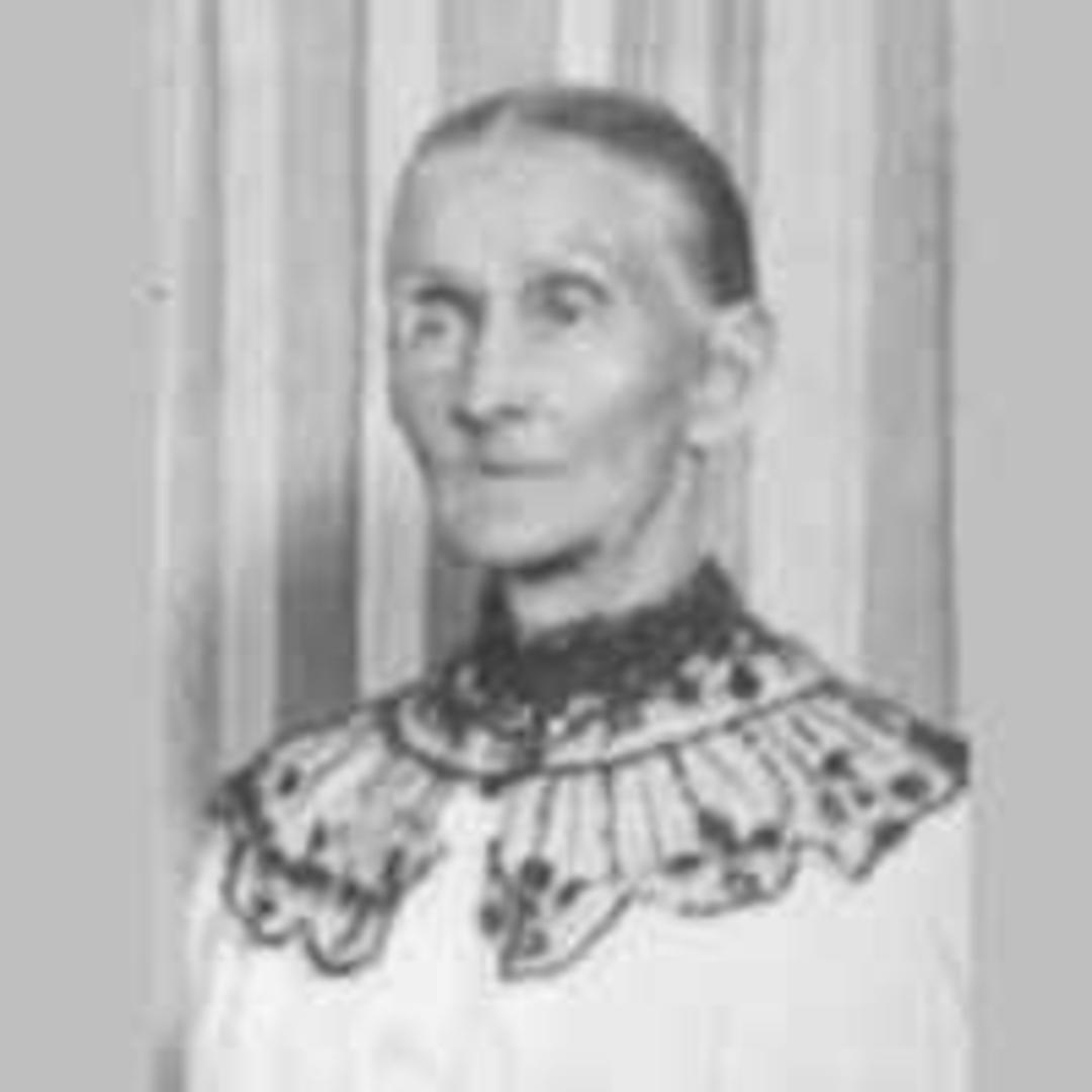 Phoebe Amanda Cole (1826 - 1916) Profile